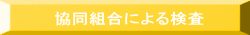 協同組合による検査